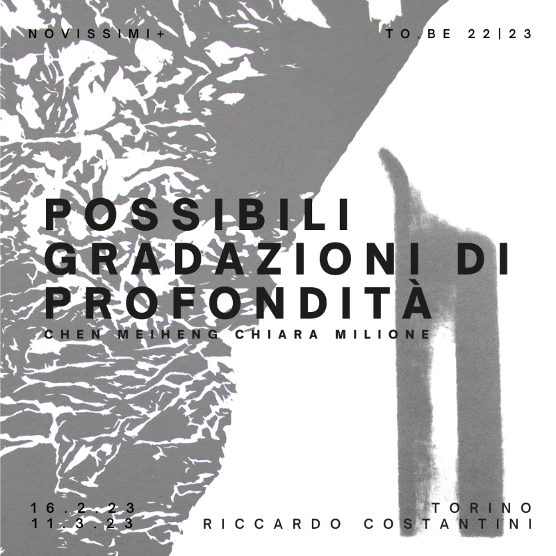 Possibili gradazioni di profondità | Chen Meiheng | Chiara Milione