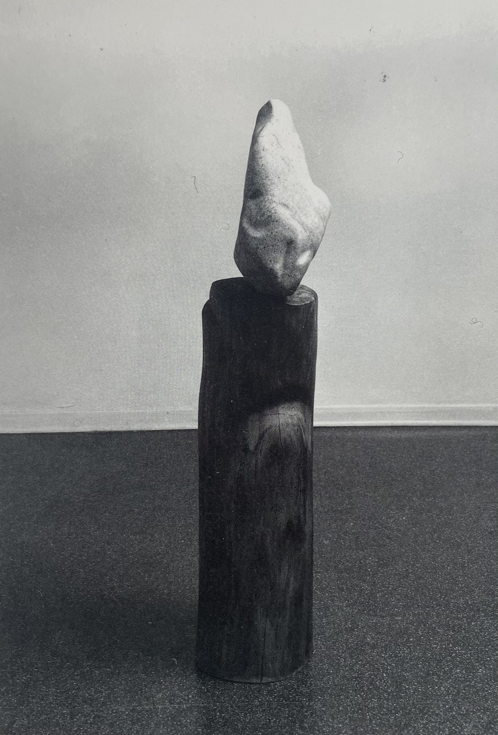 RENATO MAESTRI